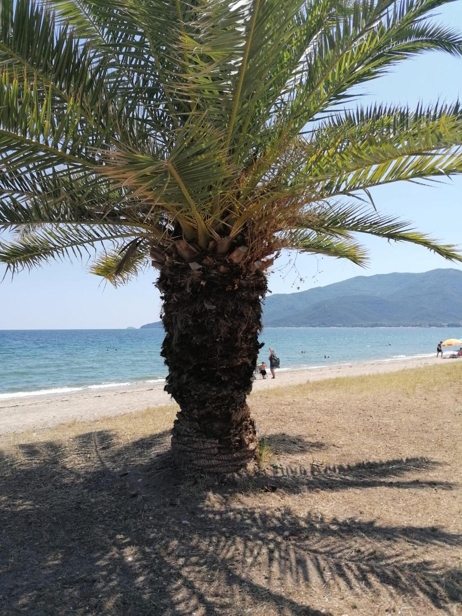 Prime Luxury Villa Beach Front Βρασνά Εξωτερικό φωτογραφία